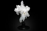 Quartz Crystal Cluster With Rotating Stand - Spectacular! #229594-1